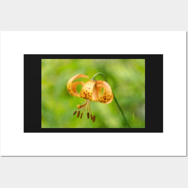 Impressionist Lily Wall Art by EugeJ